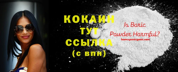 сатива Белокуриха