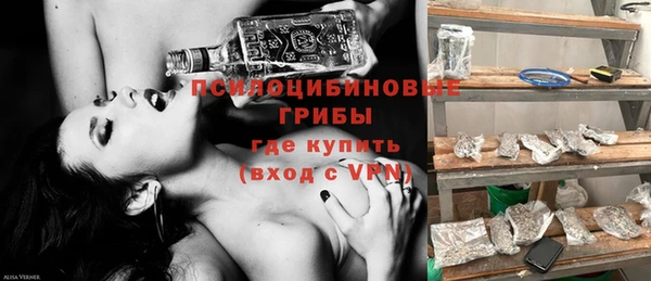 сатива Белокуриха