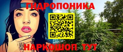 СК Рязань