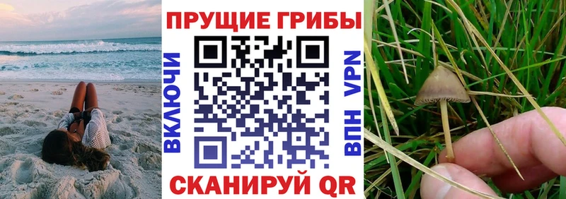 Галлюциногенные грибы MAGIC MUSHROOMS  Свободный 