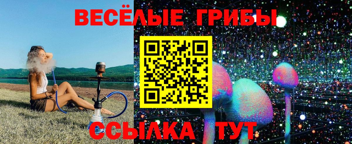 Галлюциногенные грибы Cubensis Свободный