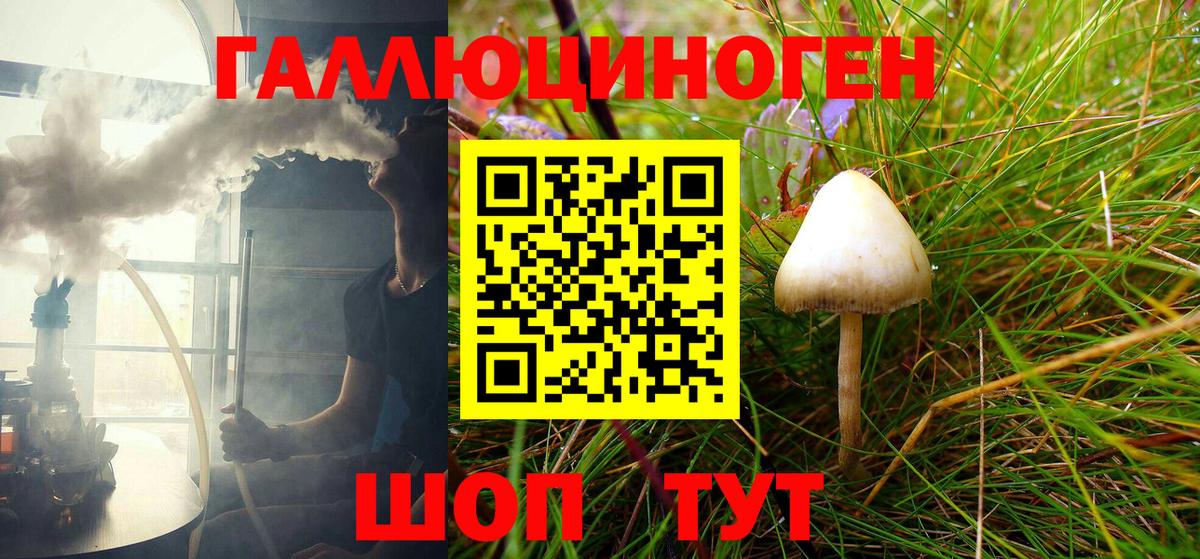 Галлюциногенные грибы Cubensis  хочу наркоту  Псилоцибиновые грибы Psilocybe  Свободный  Вход с VPN 